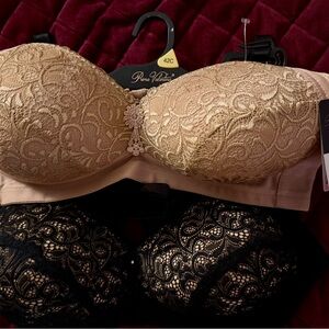 Prima Valentina 2 Lace Bras in Tan & Black 42C NWT